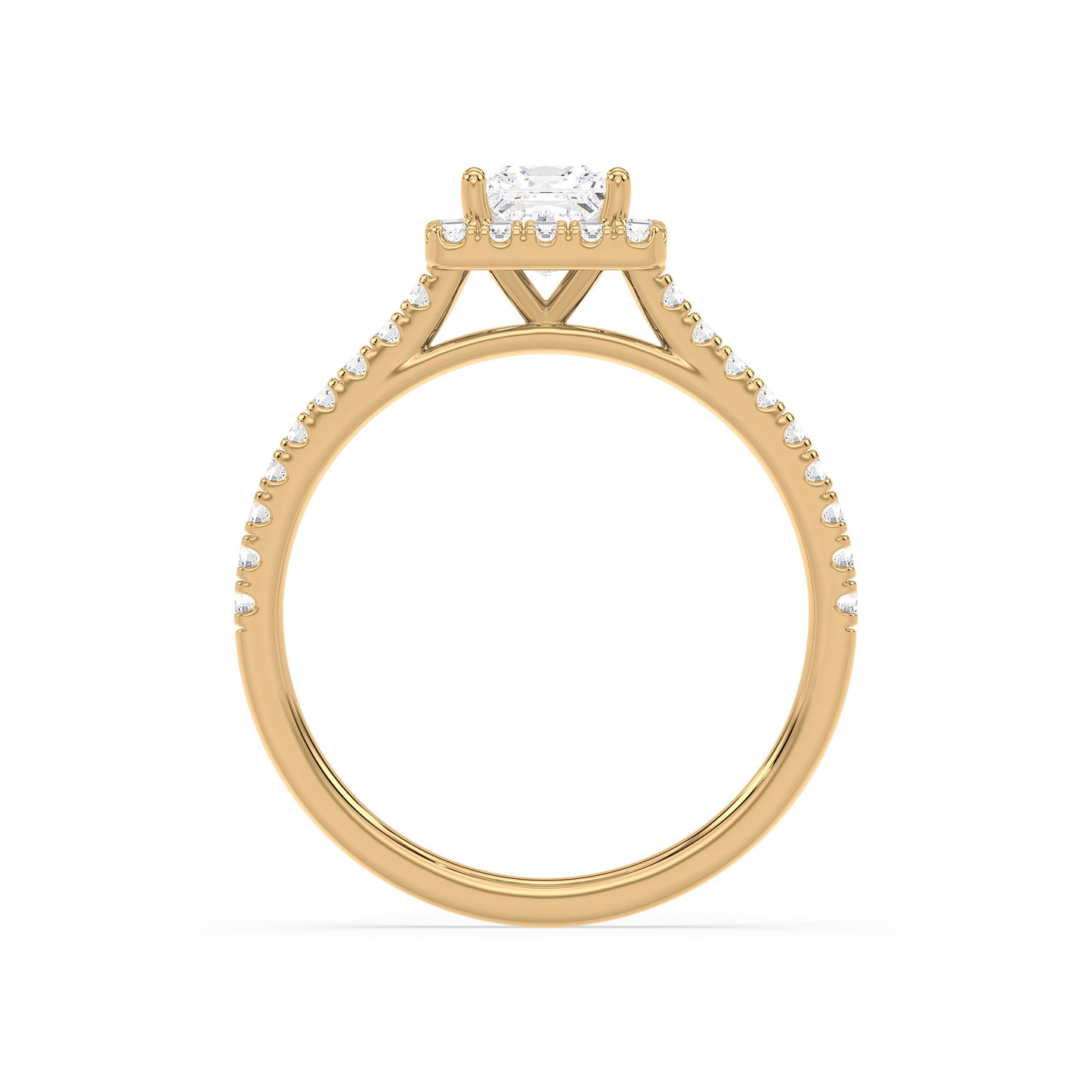 Accented Princess Solitaire Halo Ring