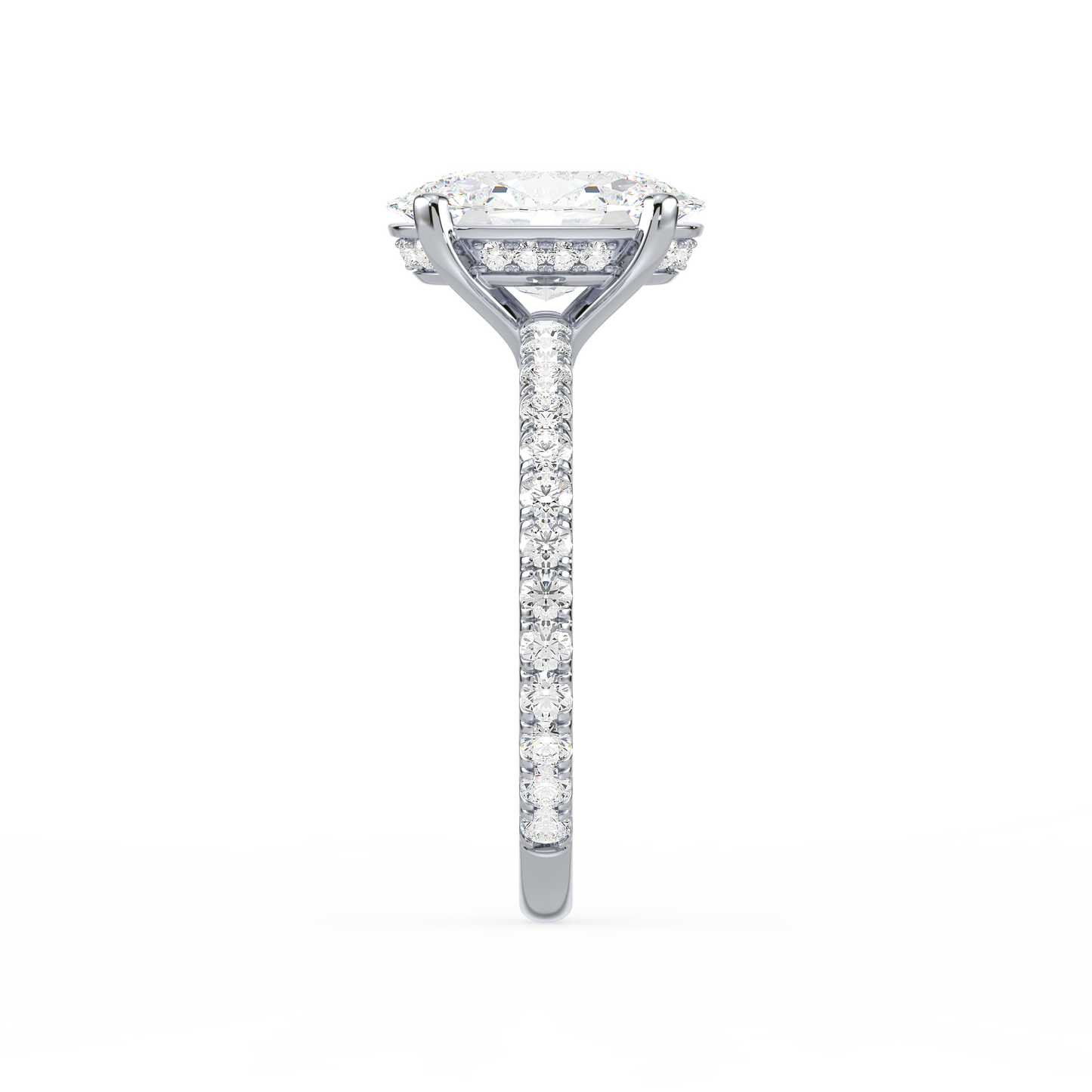 Hidden Halo Oval Radiance