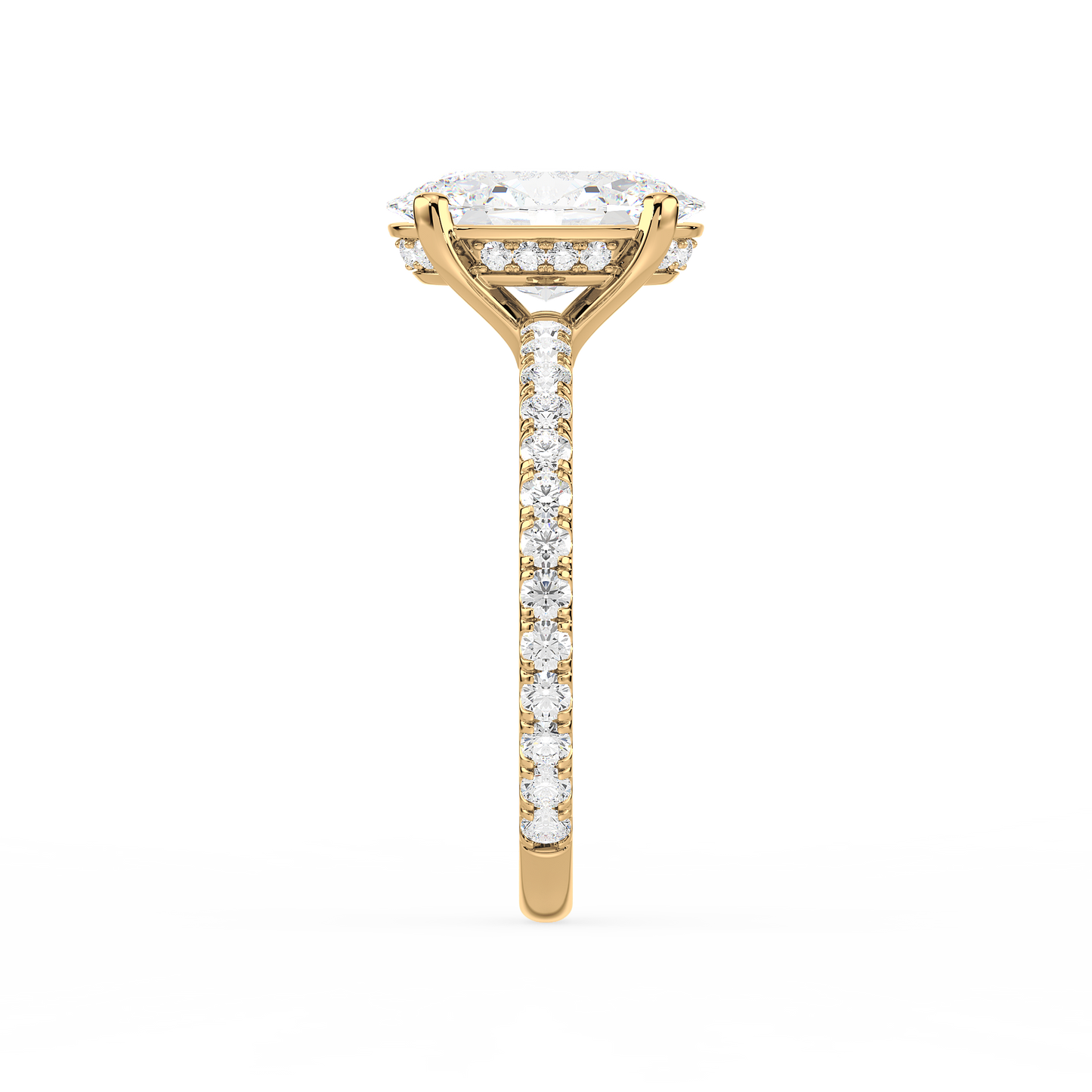 Hidden Halo Oval Radiance